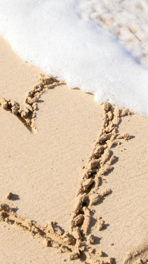 A little Valentine’s wish from Gardens of Eden❣️May your home always be filled with love, happiness,...