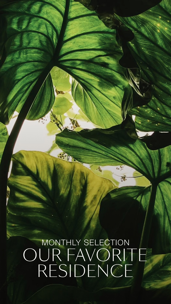 Monthly Selection at Gardens of Eden 🦜Our top pick for February is nestled in Park Residences, the...