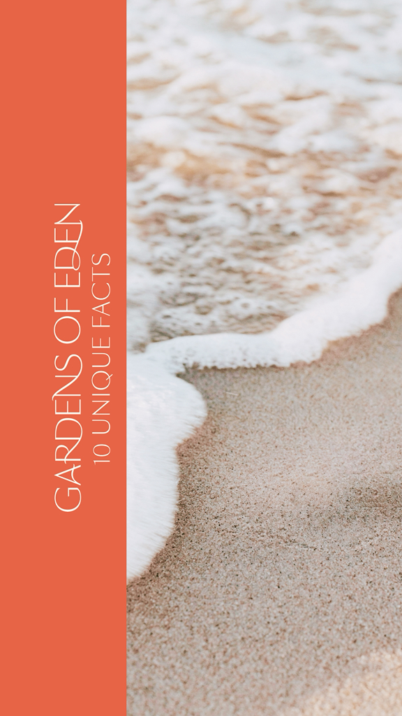 Every remarkable project begins with a unique vision