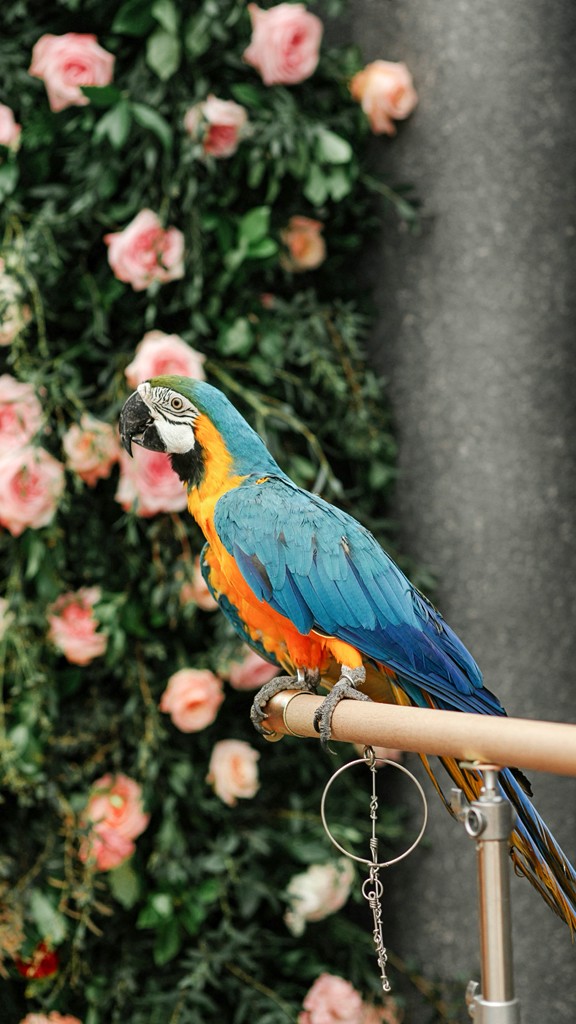 Thank you for your kind words, @aliia_gala 🦜�The full video from our partner event celebrating Gard...