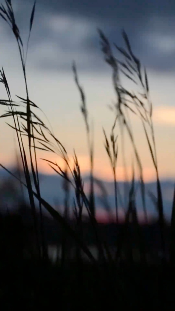 As twilight settles, Etro Residences Phuket comes alive in quiet opulence