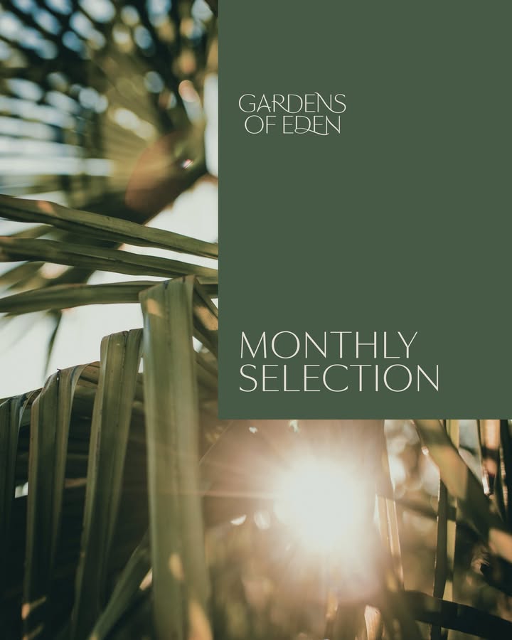 Introducing the September Selection at Gardens of Eden ⇄