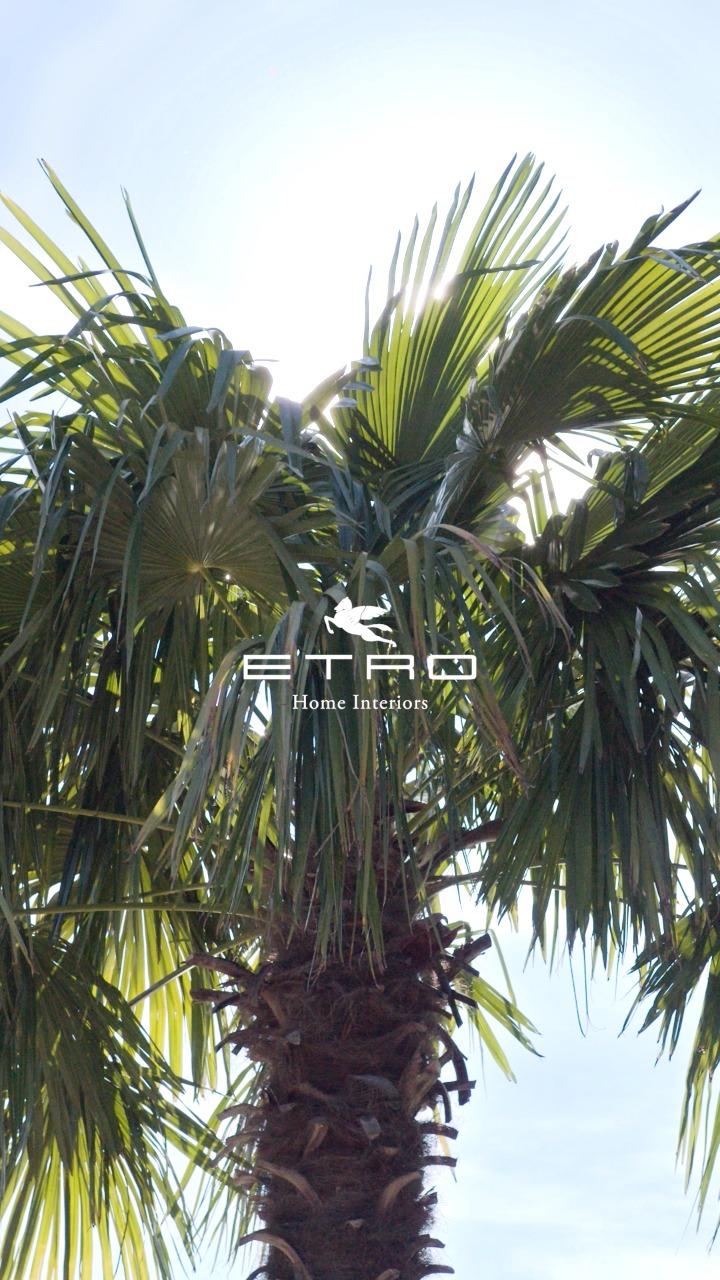 A style recognized at first sight