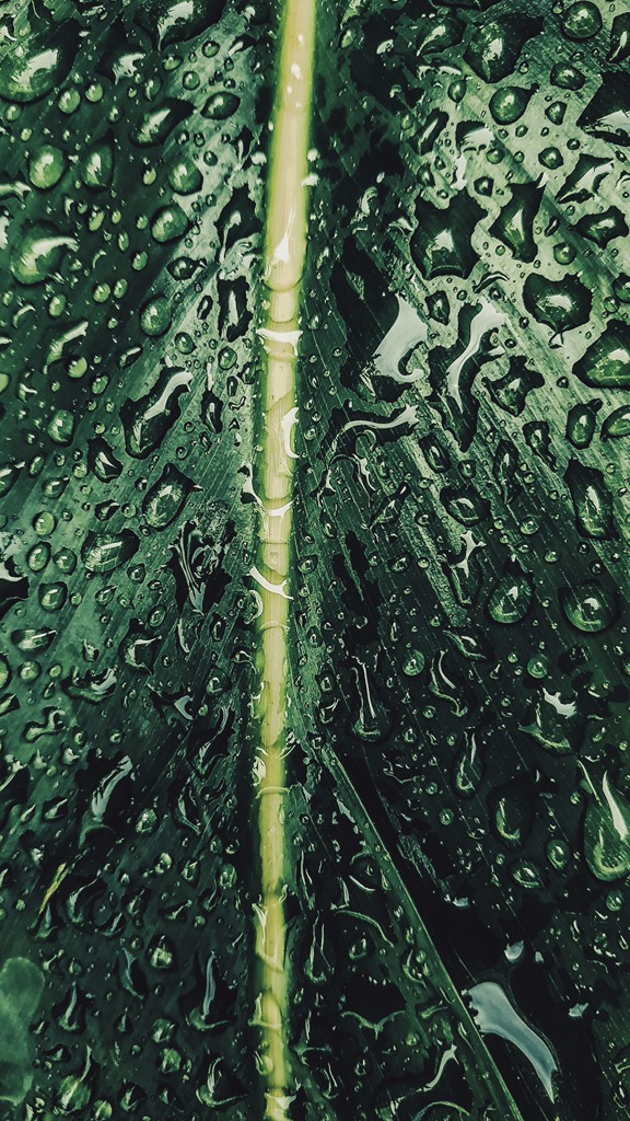 Networking with CBRE Thailand 🌿