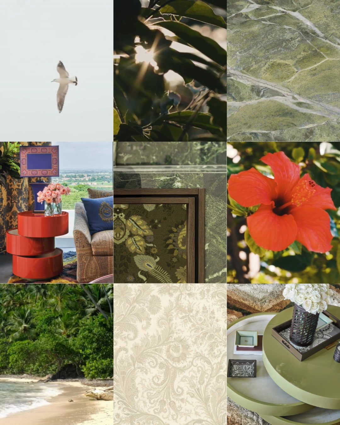 “Tra le foglie, la luce danza.