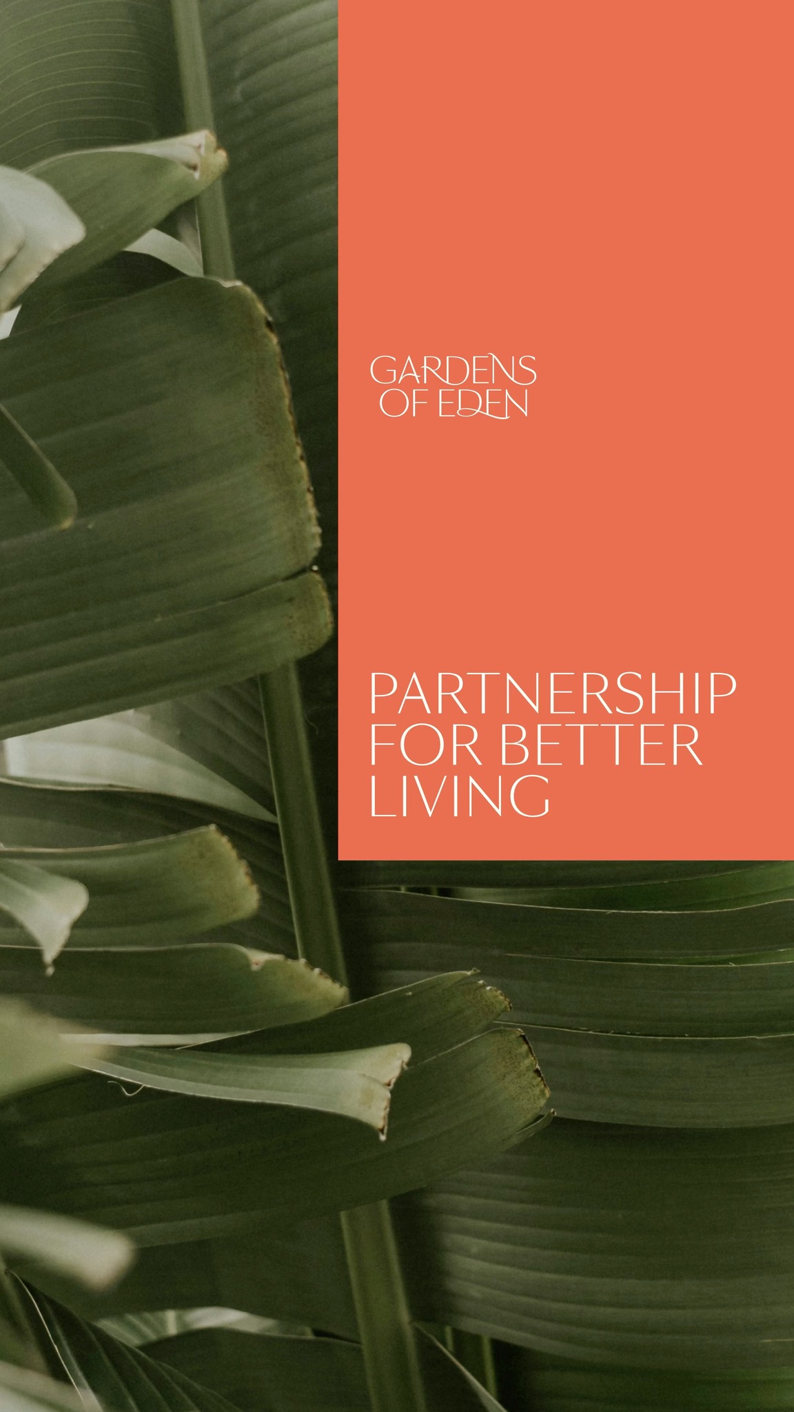 🌿 Eden Voices: Can a space be designed to support health?